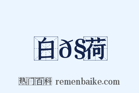 白𧁁荷是什么意思的图片